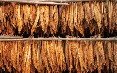 Super Nature Tobacco Products