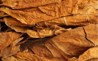 Super Nature Tobacco Products